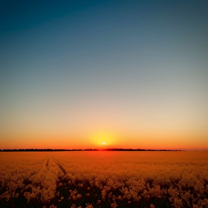 400部酒店情侣偷拍视频
